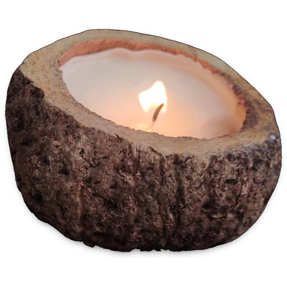 Vela Proteção da Floresta